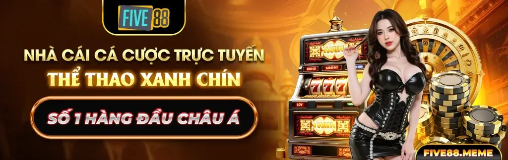 Banner chính thức của blog oke179 2026